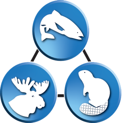 Choggiung Ltd 50 Year Anniversary Logo & Seal